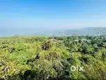 360 Acre DEVGAD ALPHANSO FARMLAND FOR SALE