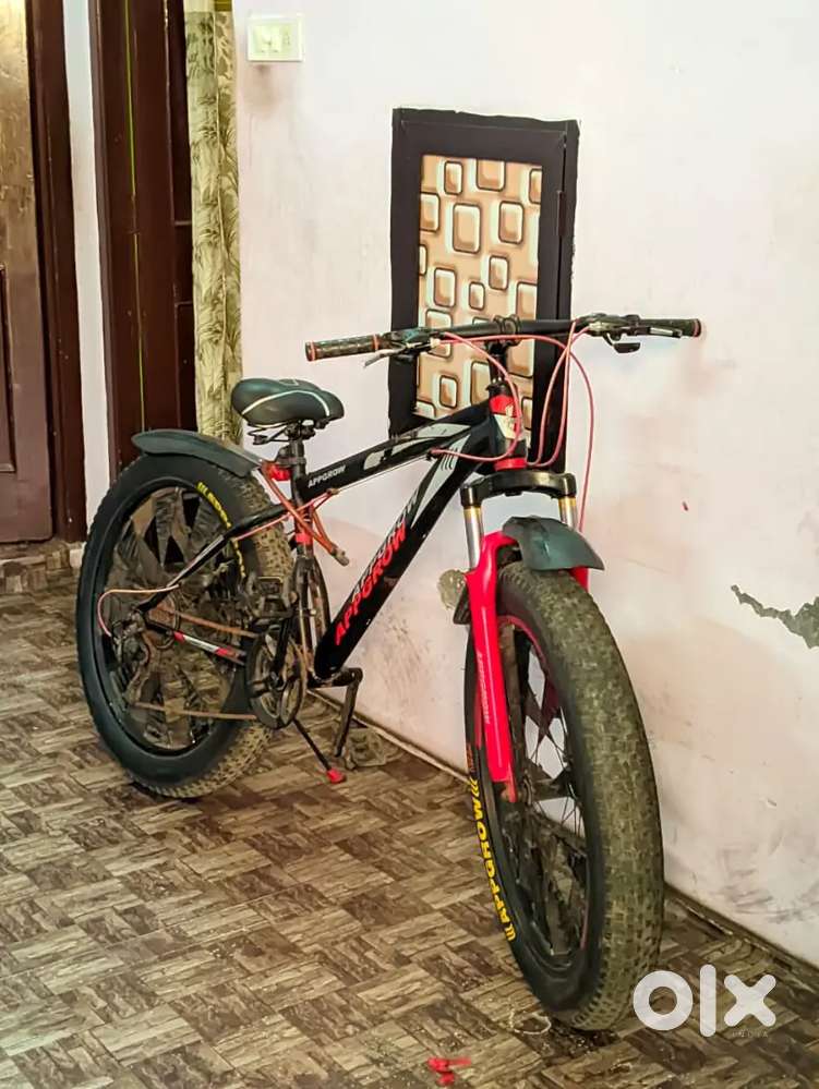 Fat tyir cycle