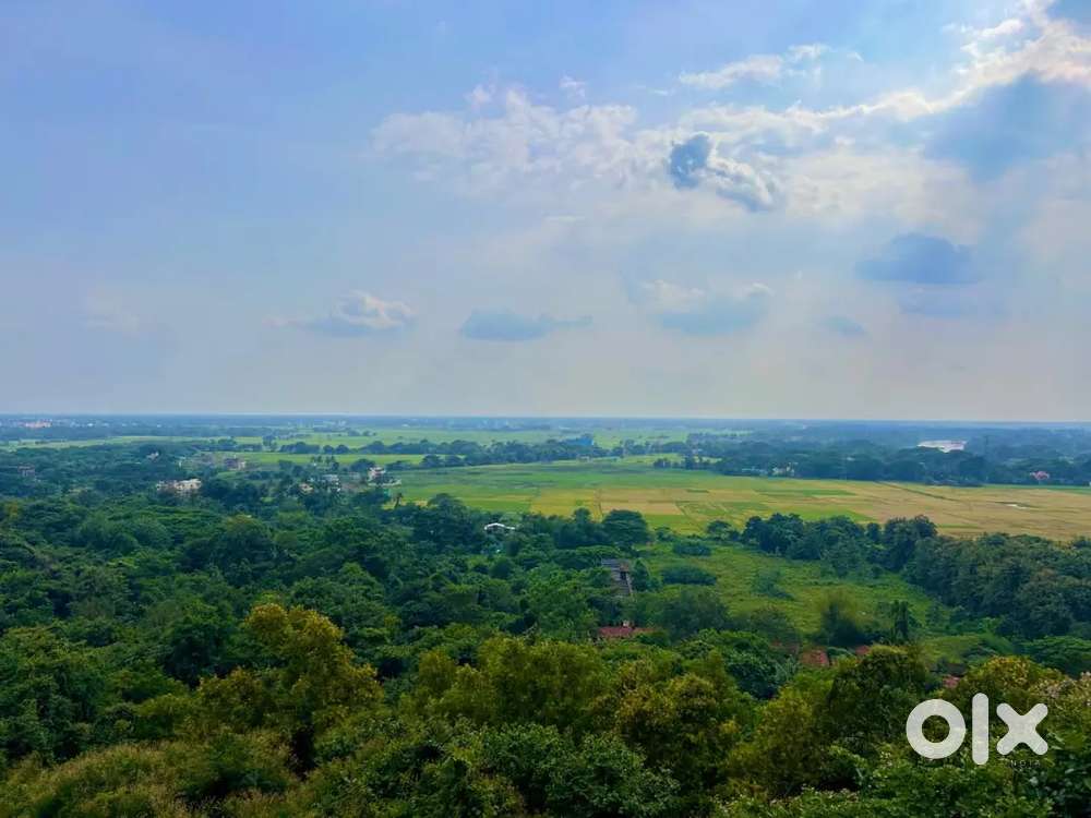 Plot clu possible for hotel in Ayodhya