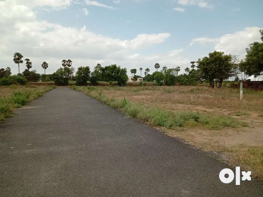 Salem Elampillai near( edaganasalai) plots sell