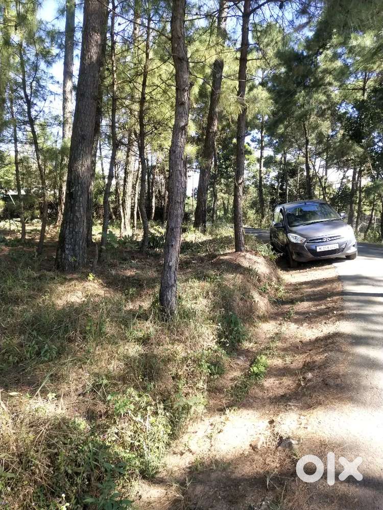 Land for sale at umsawli near IIM New Shillong