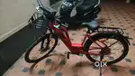 Electric cycle