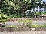 Ernakulam kaloor 25cent land for sale