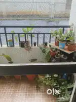 Flat for sale