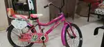 Momstar brand bicycle