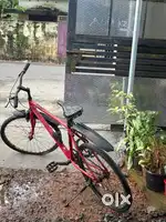 Mach city cycle