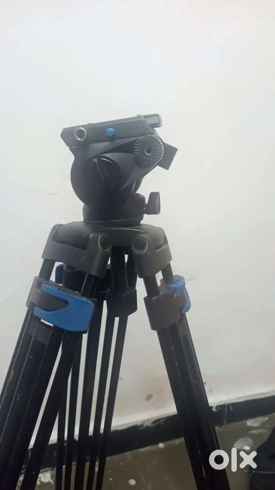 Digitex tripod