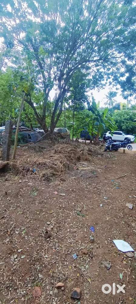 Plot for sale Kovalam