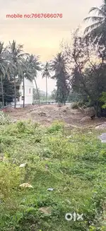 empty land for rent   alagunagar ,seelanaickenpatty
