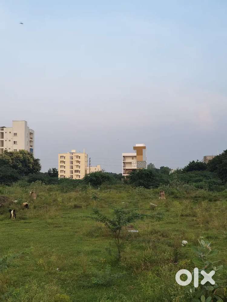 తిరుపతి లో ప్లాట్స్, స్థలాలు,పొలాలు, ఇల్లులు మంచి ధరకు అమ్మించగలము