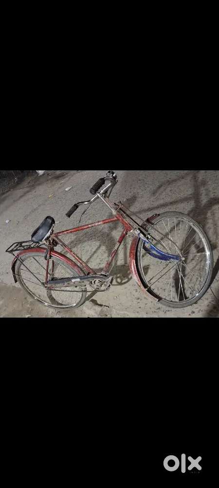 2 year old cycle