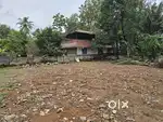 Commercial land /Residential land