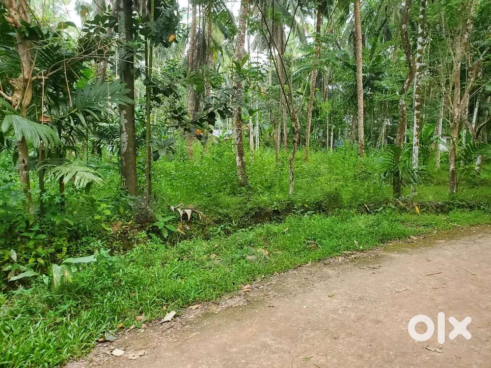 This is good plot for house