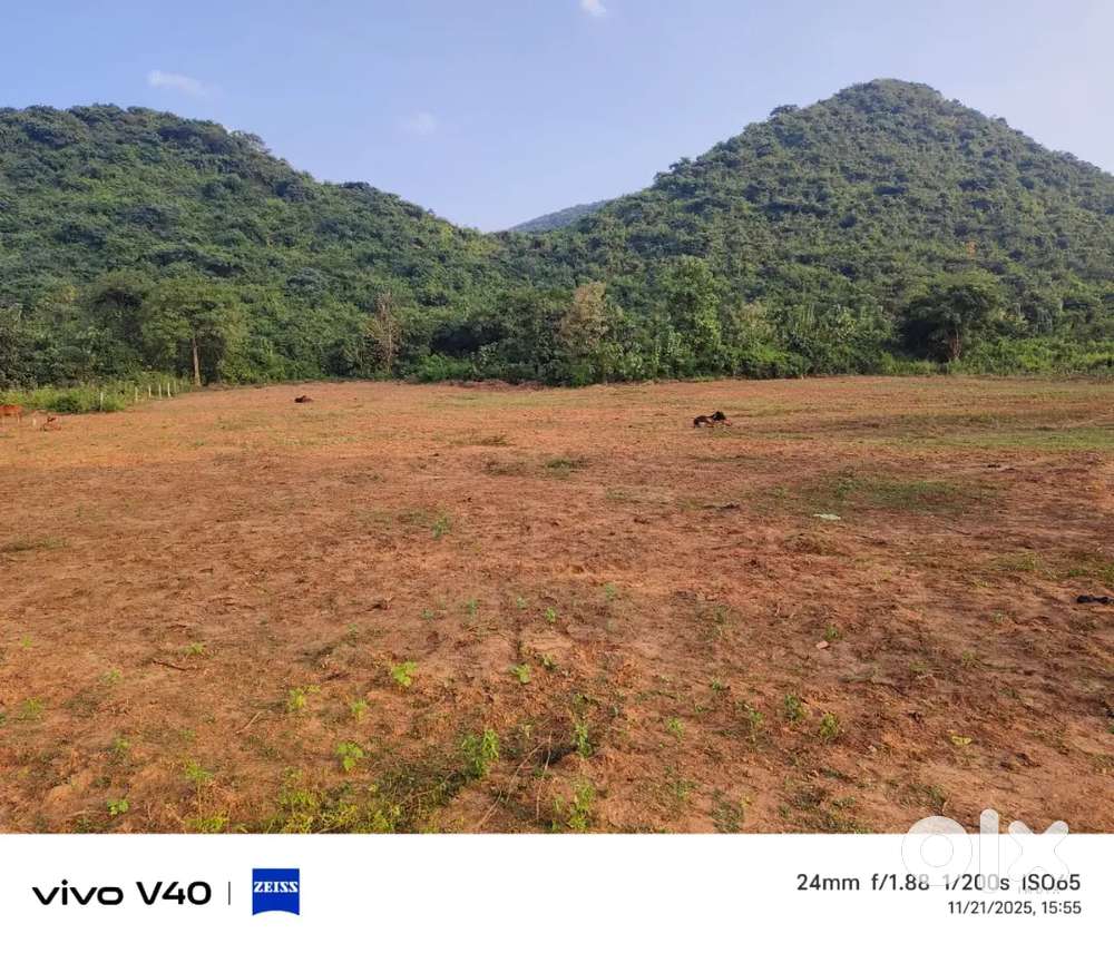 SC plot Dhenkanal NH 55 to 2 km sentral school to 600m petrolpump near