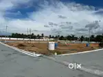 In Campus - IT Park Exit Entrance DTCP RERA plots Sale