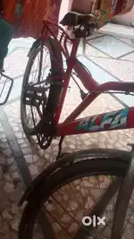 1 year old cycle