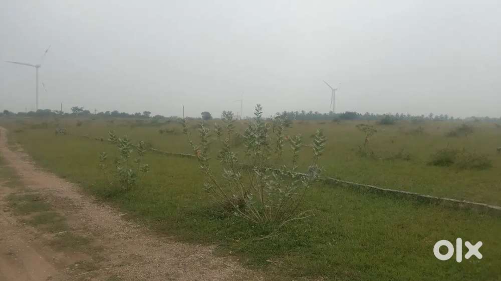 Site for sale  in  near 2 km from panapatti