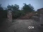 25×75 plot (  23000 Gaj )