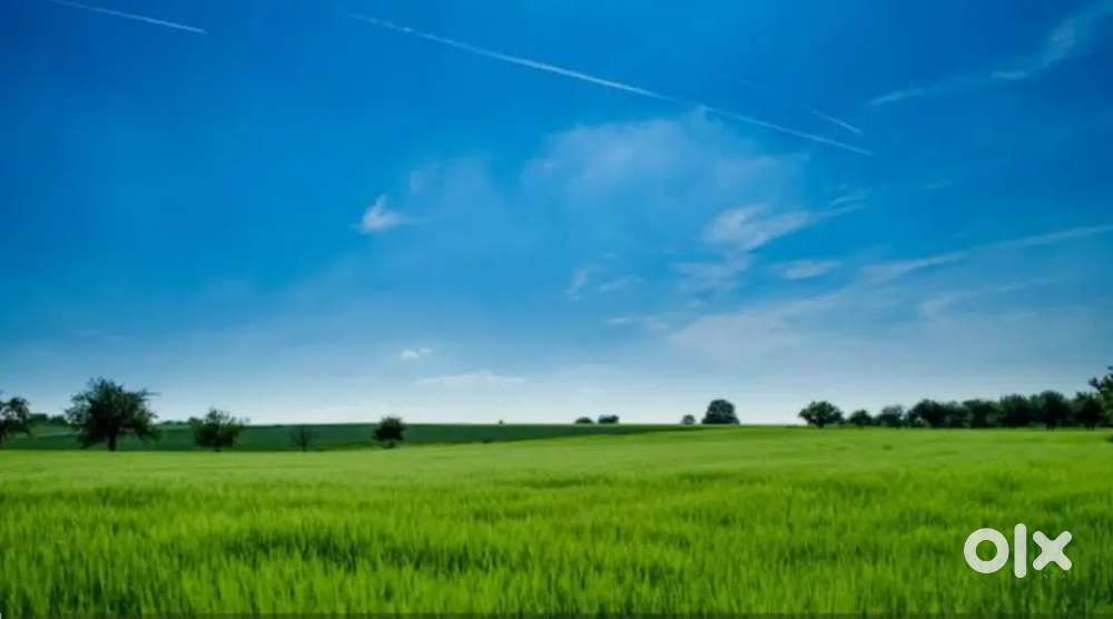 Land sell near shyamnagar