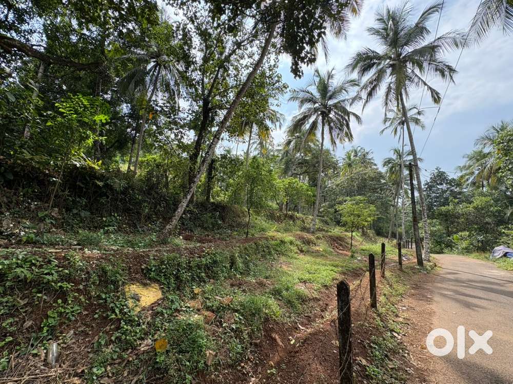 ചേളന്നൂർ 7/6 ഇൽ 2 ഏക്കർ സ്ഥലം വിൽപ്പനയ്ക്ക്