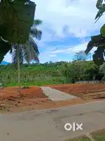Own a Beautiful House Plot in Anjukunnu, Wayanad.