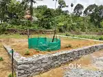 8 cent near Thodupuzha