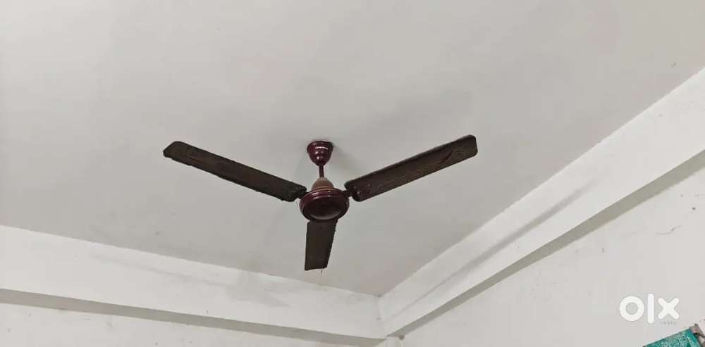 Ceiling Fan