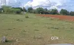 Plot for sale in othimalai main road base and also in kanuvukarai
