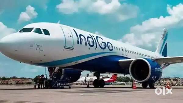 Cabin Crew/ Airport Ground Staff Jobs in Indigo airlines.