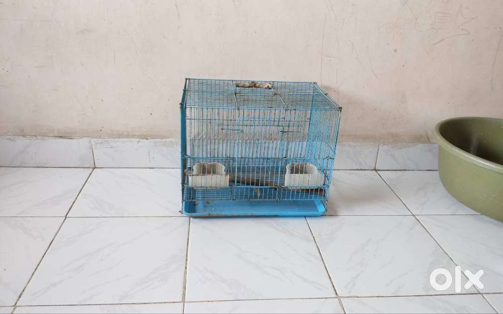 Cage of cat