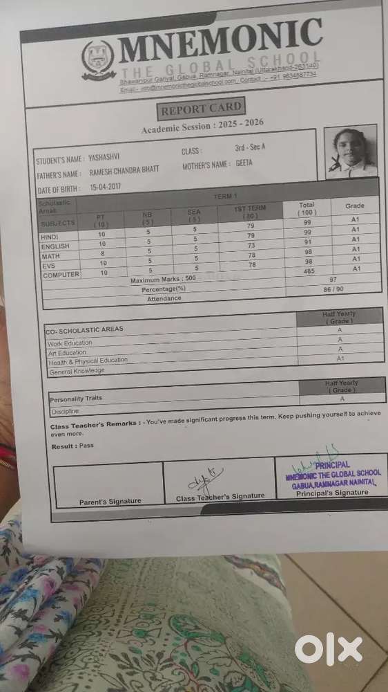 Indian and Chinese cook