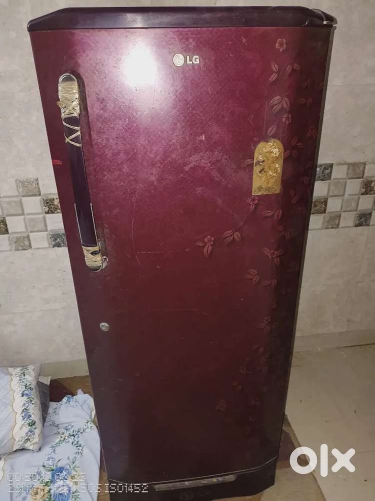 LG GL-245BNDE5 refrigerator