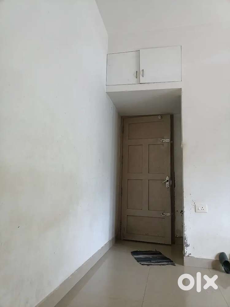 contact me feel free