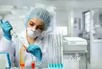 Online Tuition Available for Anatomy and Physiology