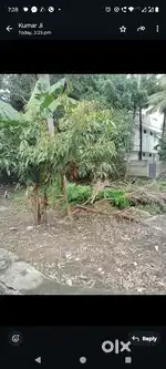 5.5 cent land for sale Jagathy near main road. Wagner access