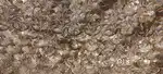 Fabric forever gold beige dupatta