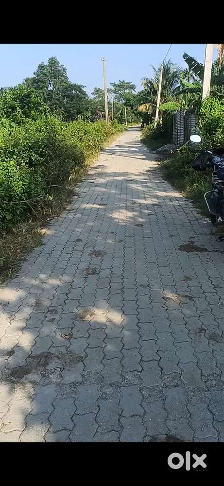 Changsari dhopatari