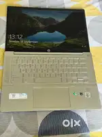 HP Pro Chromebook Touch Screen Laptop