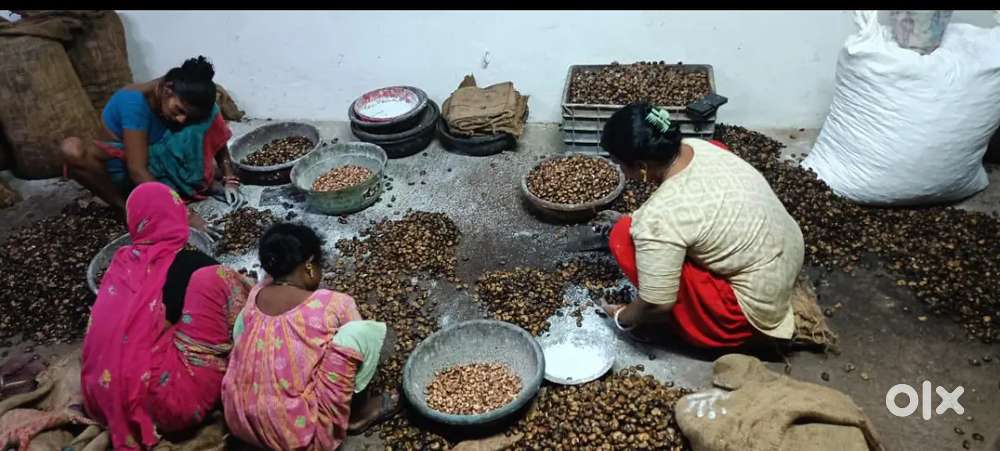 Cashew factory