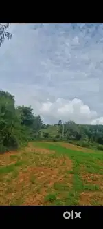 2 acre 14 gunta farm land for sale in doddballapura