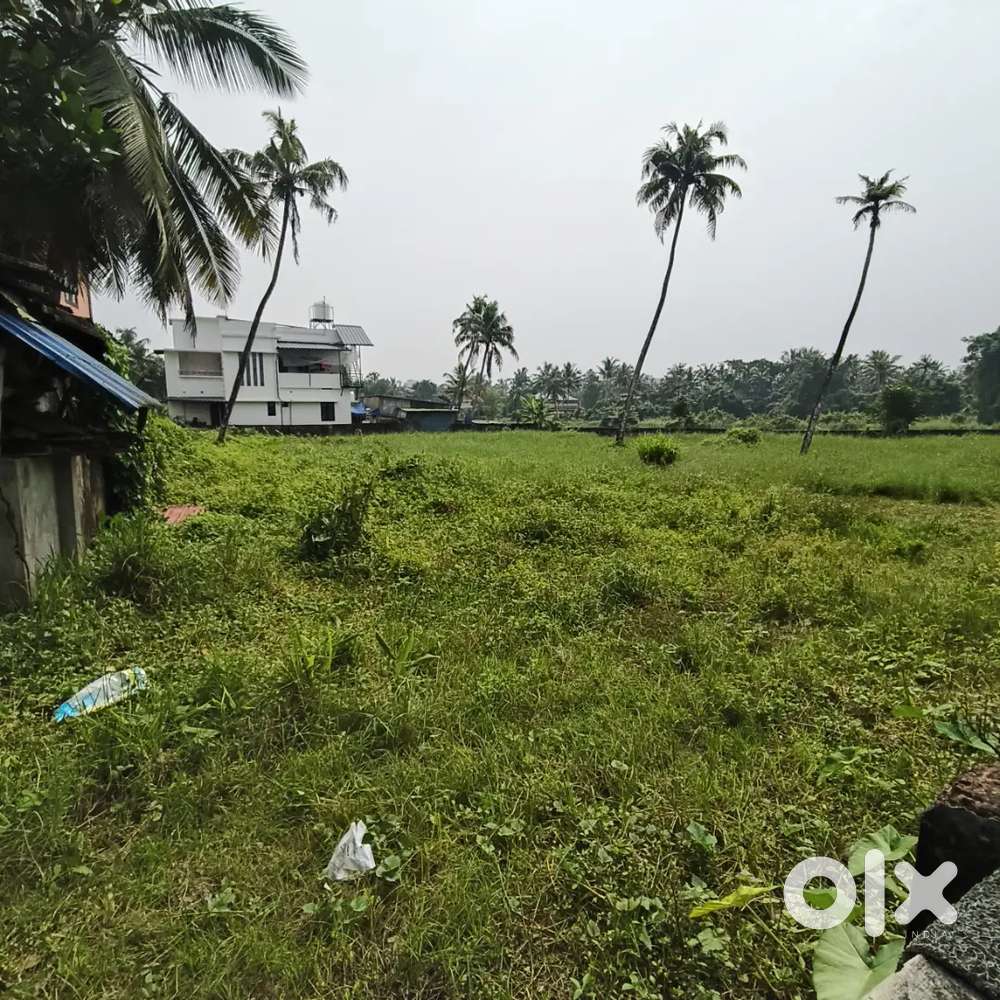 37 cent Land for rent at Tripunithura