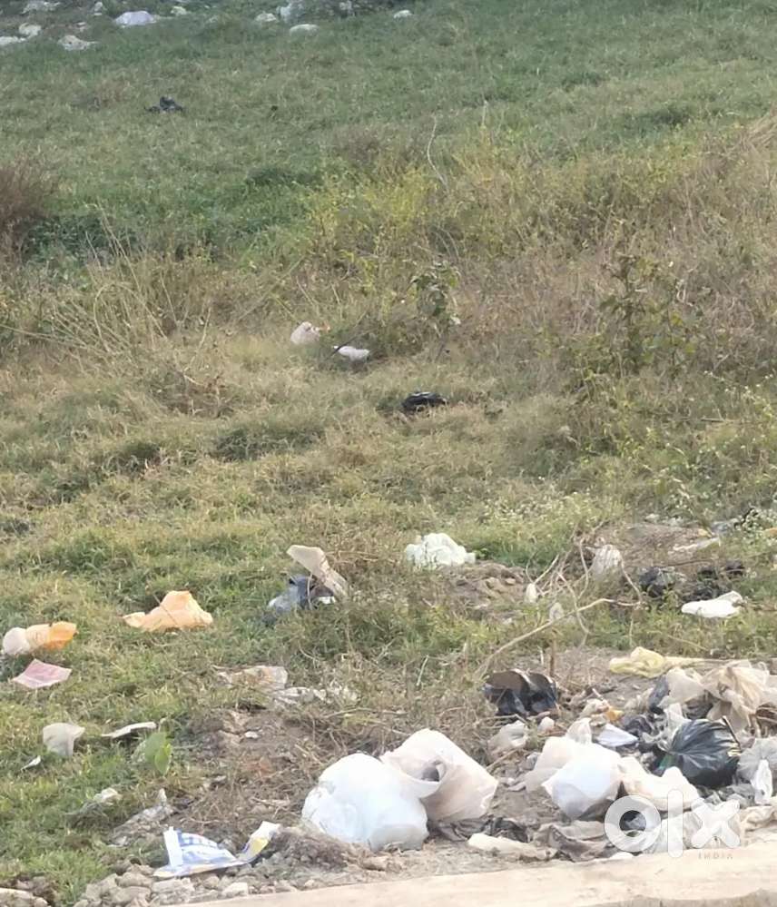 55 gaj k hai 11 farant