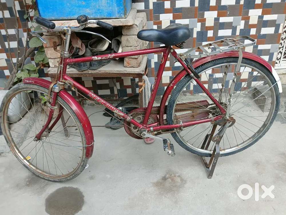 Neelam cycle