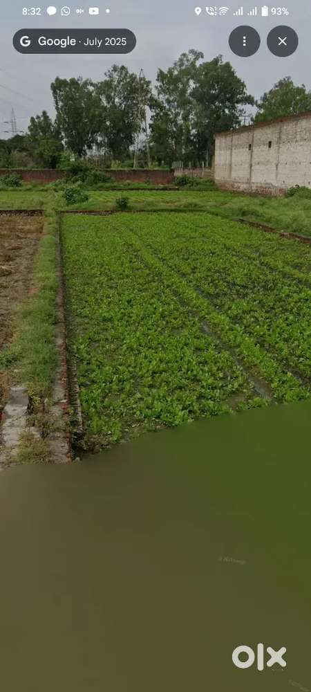 300 gaz plot pandat nagla ploice choke ke barabar me