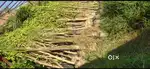 हमारे पास 700 प्लाट उपल्ध है
