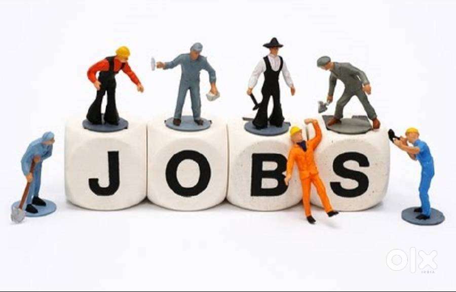 Opening for Telecom Service Provider