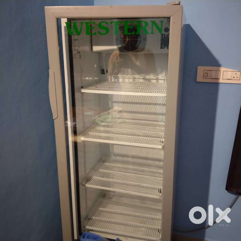 Western freezer, single door