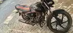 Shine for sell