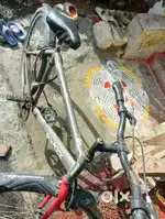 Sky rocks cycle gang brand