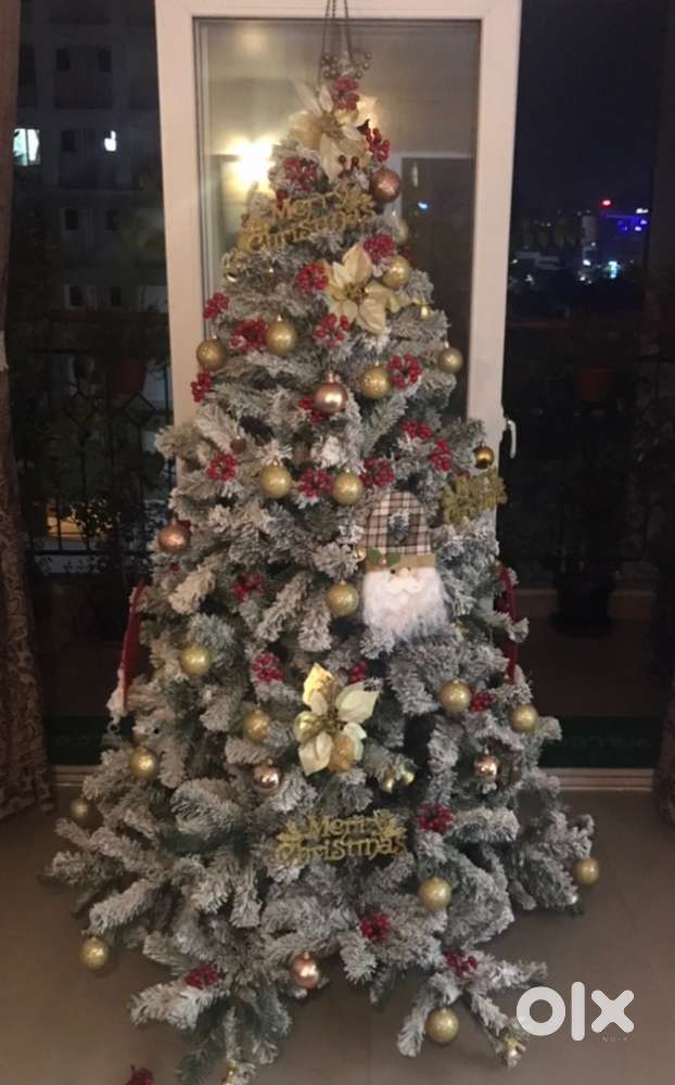 Christmas Tree For Sales